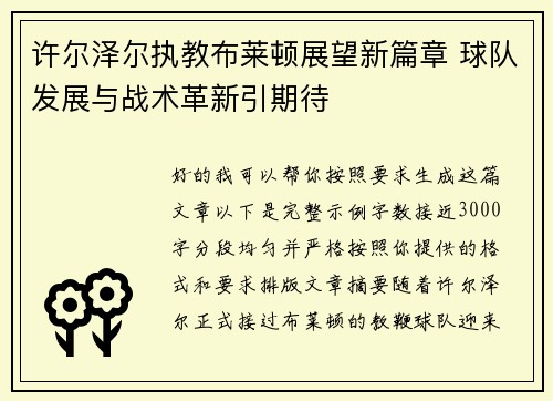 许尔泽尔执教布莱顿展望新篇章 球队发展与战术革新引期待